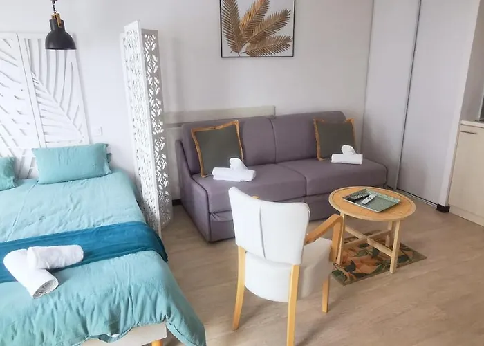 O'tiny Familiale 4 Personnes, Gare, Centre Ville, Sanctuaire Daire Lourdes