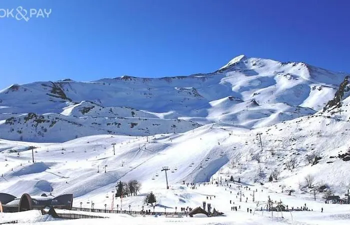 O'tiny Familiale 4 Personnes, Gare, Centre Ville, Sanctuaire Apartament